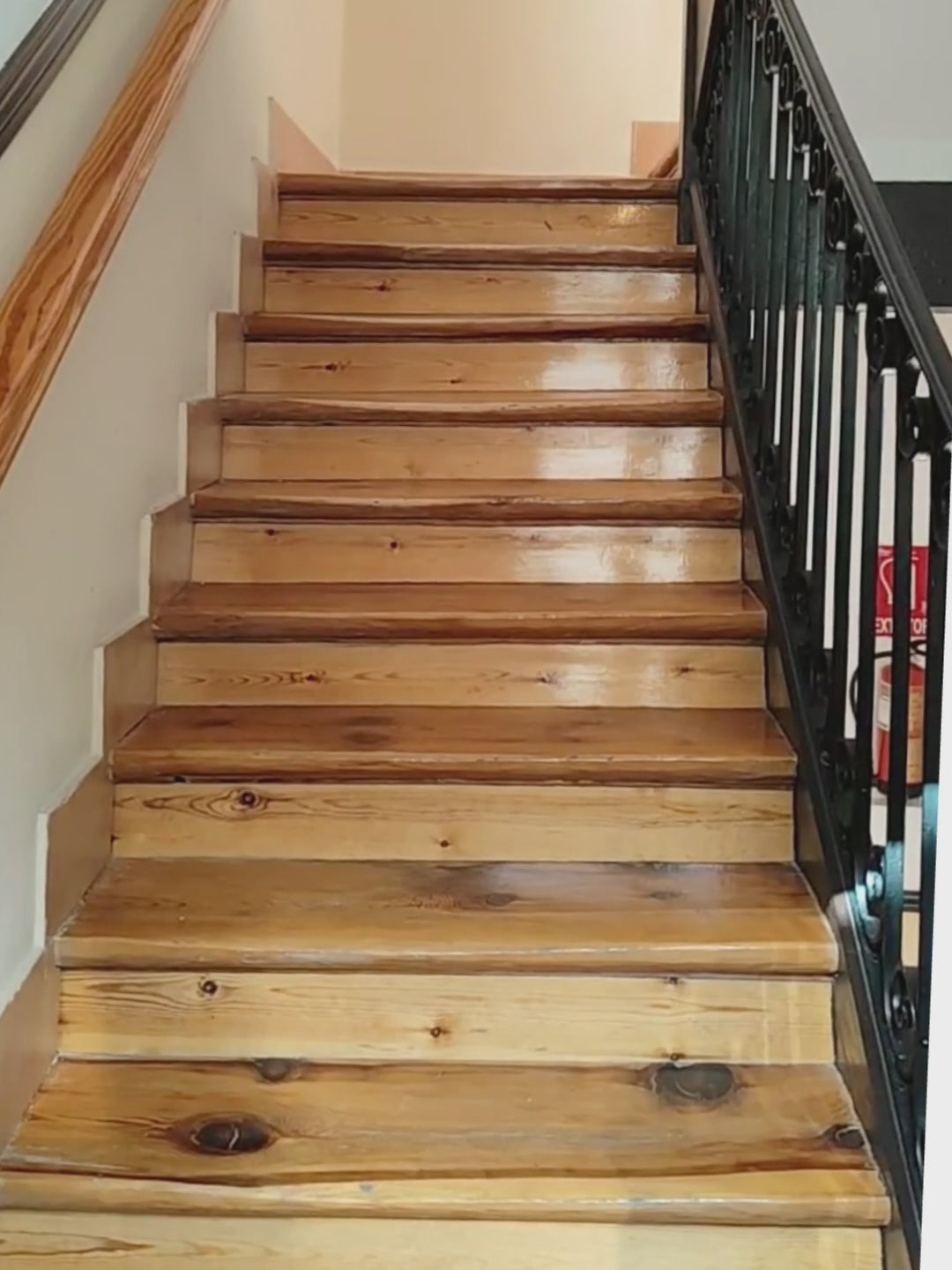 Cancionera Gabardina Moonlight